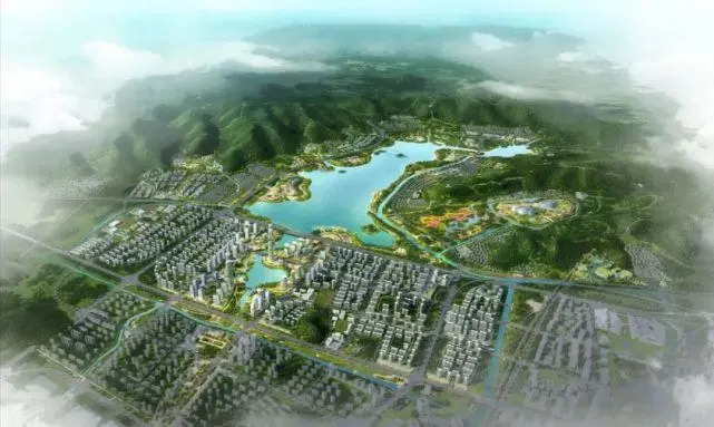 Large Image