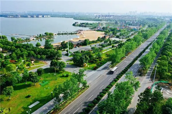 Large Image