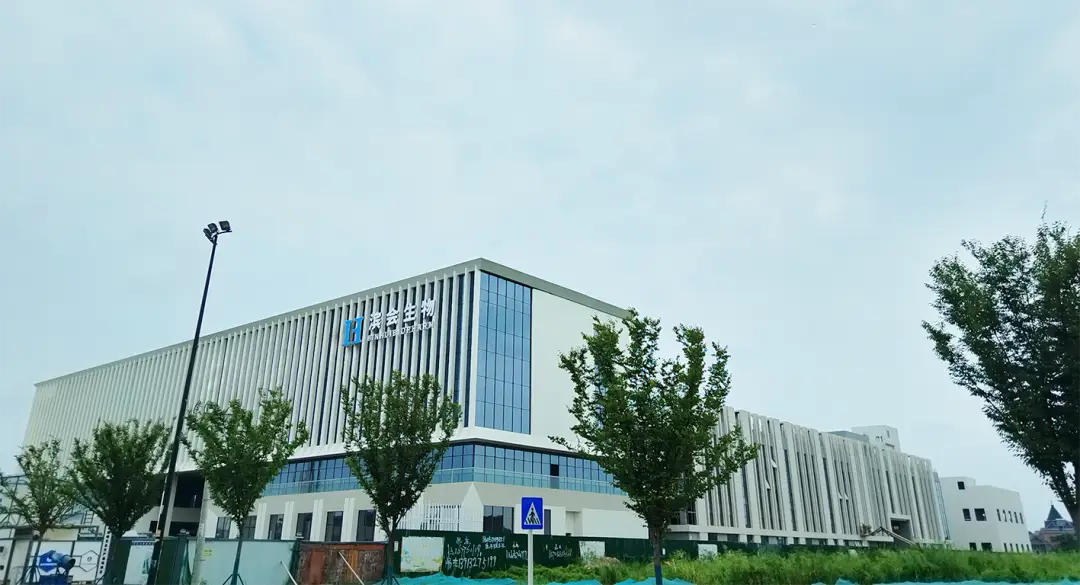 Large Image